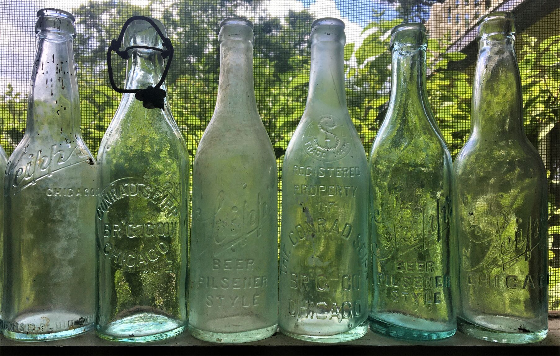 Black Point: Seipp Beer Bottles 2